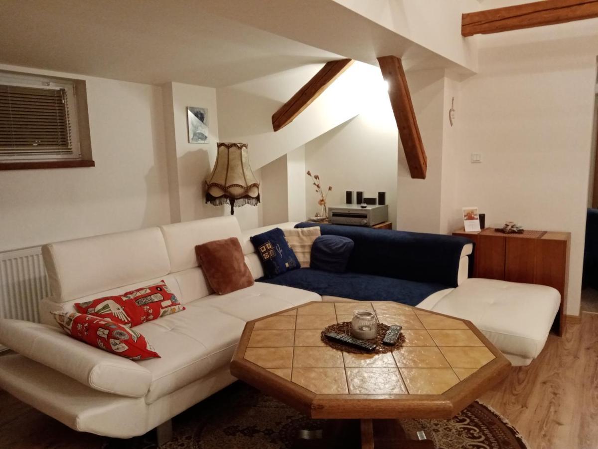 Apartment Krkonosska تانفالد المظهر الخارجي الصورة