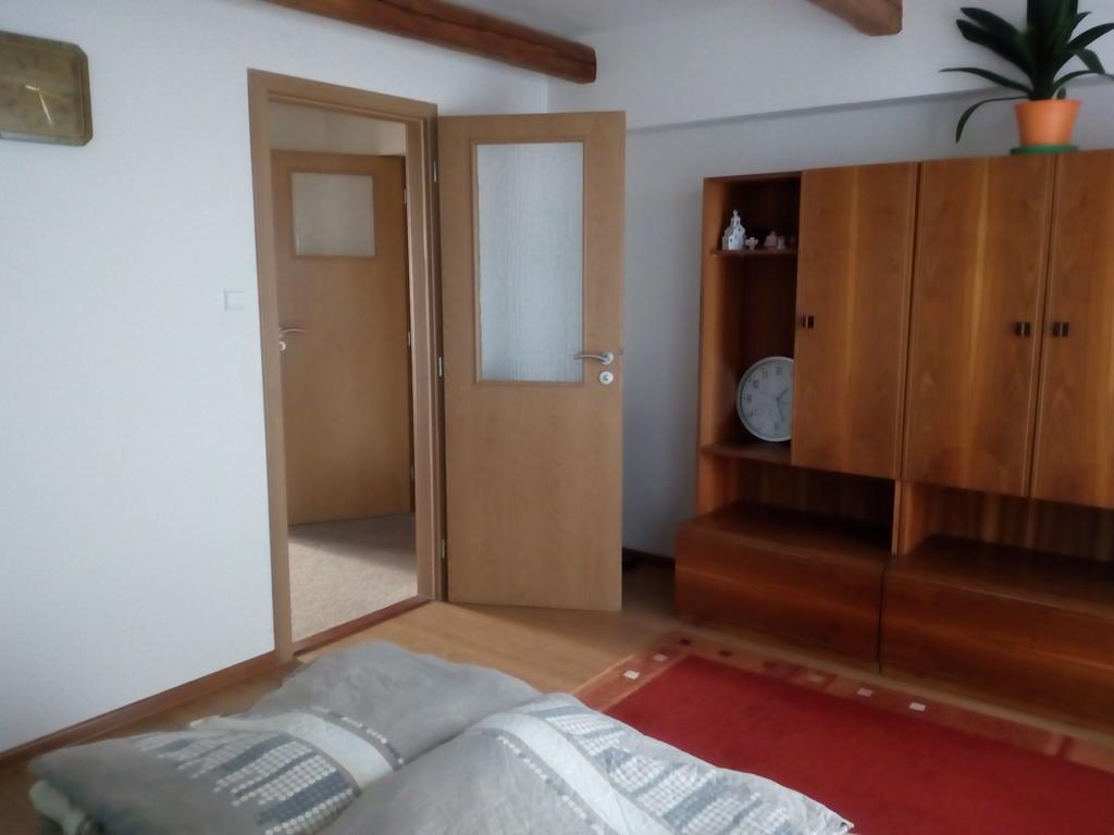 Apartment Krkonosska تانفالد المظهر الخارجي الصورة